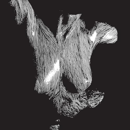 Oceansize - Self Preserved While The Bodies Float Up (15Th Anniversary) [3Lp] | Mint (M) Mint (M)-Music History