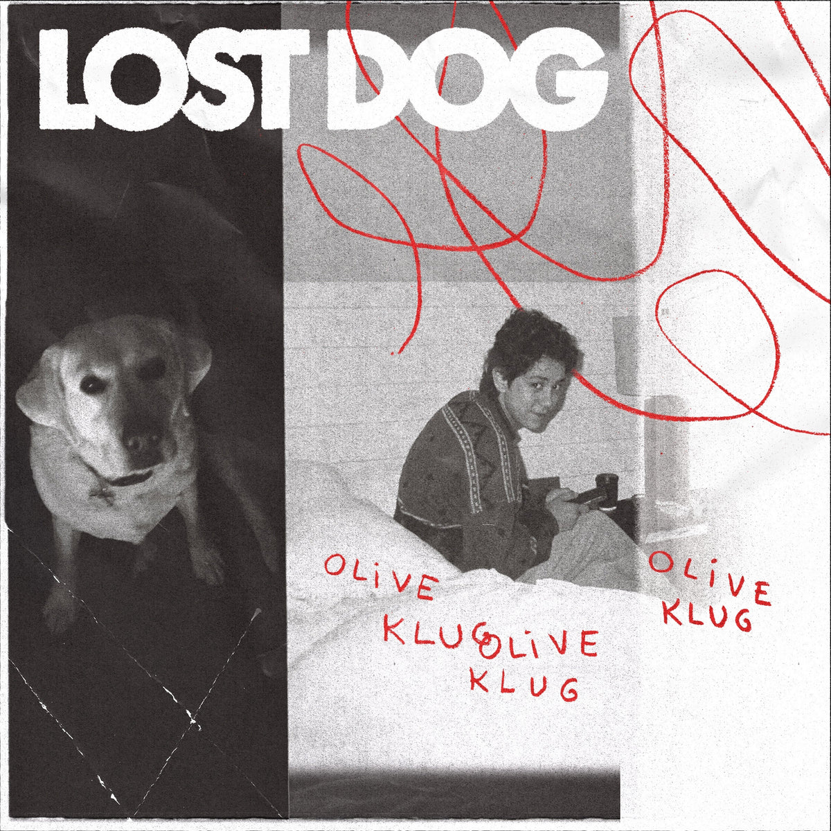 Olive Klug - Lost Dog (VINYL) | Mint (M) Mint (M)-Music History