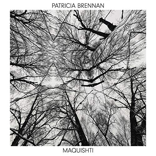 Patricia Brennan - Maquishti (YELLOW VINYL LP Valley of Search VALY31497.1) | NEW-Music History