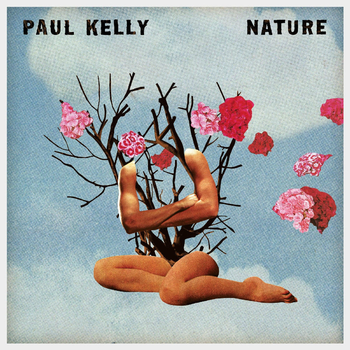 Paul Kelly - Nature (CD) | Mint (M) Mint (M)-Music History