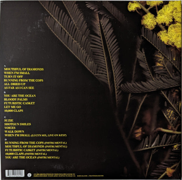 Phantogram - Eyelid Movies (VINYL) | Mint (M) Mint (M)-Music History