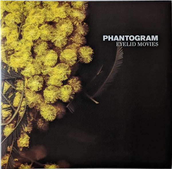 Phantogram - Eyelid Movies (VINYL) | Mint (M) Mint (M)-Music History