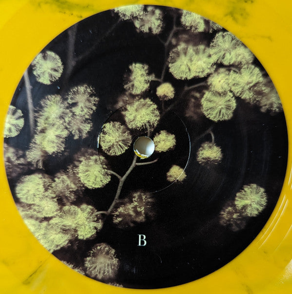 Phantogram - Eyelid Movies (VINYL) | Mint (M) Mint (M)-Music History