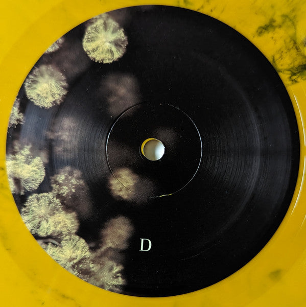 Phantogram - Eyelid Movies (VINYL) | Mint (M) Mint (M)-Music History