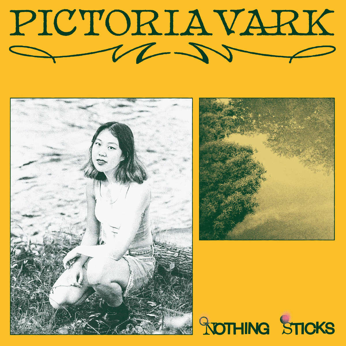 Pictoria Vark - Nothing Sticks (VINYL) | Mint (M) Mint (M)-Music History
