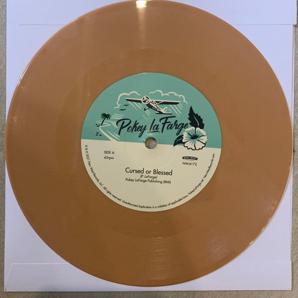 Pokey LaFarge - In The Blossom Of Their Shade | Mint (M) Mint (M)-Music History