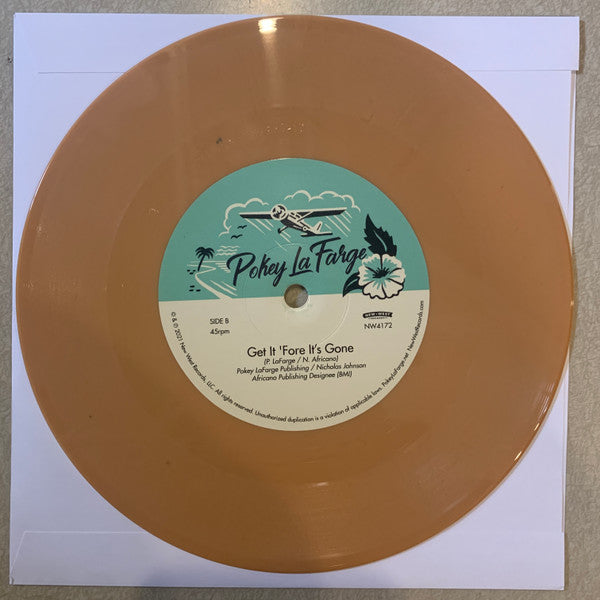 Pokey LaFarge - In The Blossom Of Their Shade | Mint (M) Mint (M)-Music History