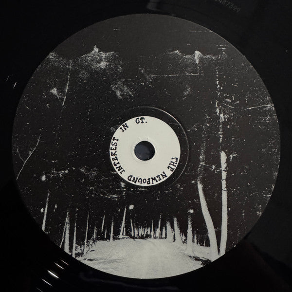 The Newfound Interest In Connecticut - Tell Me About The Long Dark Path Home (2xVINYL) | Mint (M) Mint (M)-Music History