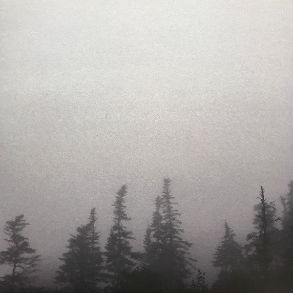 Godspeed You Black Emperor! - G_d's Pee At State's End! (180G VINYL LP + 10" EP) | Mint (M) Mint (M)-Music History