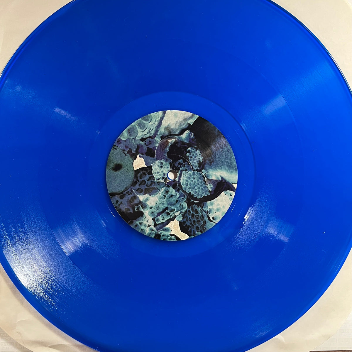 Foals - Total Life Forever (2xVINYL) | Near Mint (NM) Near Mint- (NM-)-Music History