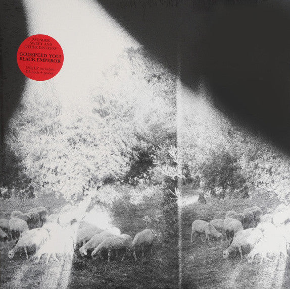Godspeed You Black Emperor! - Asunder, Sweet And Other Distress | Mint (M) Mint (M)-Music History