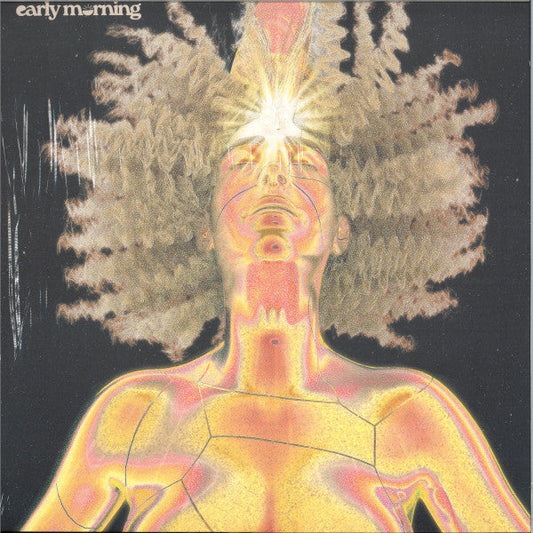Forgotten (VINYL) | Mint (M) Mint (M)-Music History