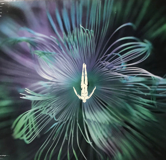 Five Phases - Reflected Wisdom | Mint (M) Mint (M)-Music History