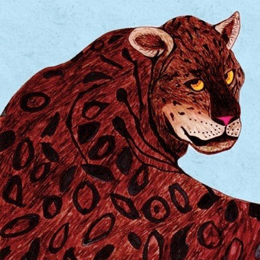 CS Cleaners - (PRESALE 6/26/26) What's This? (MAGENTA VINYL) | Mint (M) Mint (M)-Music History