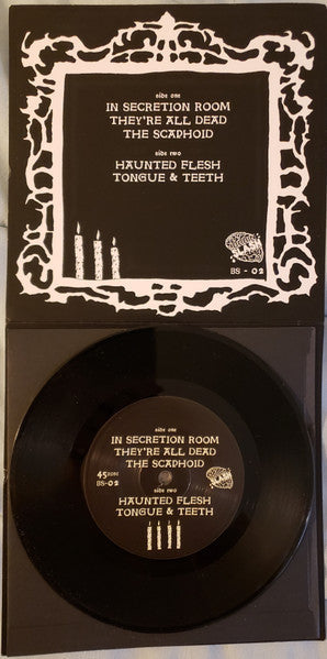 Haunted Flesh (VINYL 7") | Mint (M) Mint (M)-Music History