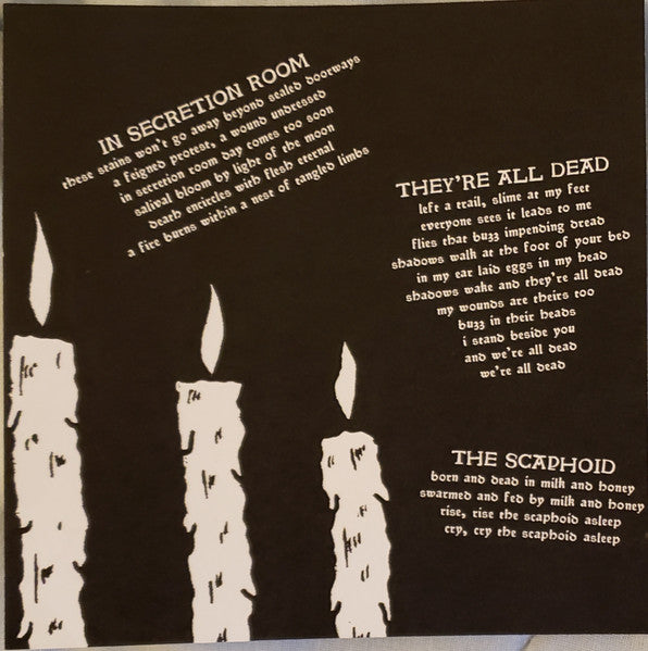 Haunted Flesh (VINYL 7") | Mint (M) Mint (M)-Music History
