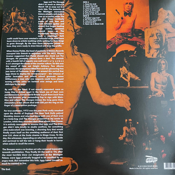 The Stooges - Keep Me Safe, Keep Me Sane (Rare Tracks 1972)(VINYL)*DISCOUNT COPY* | Mint (M)-Music History