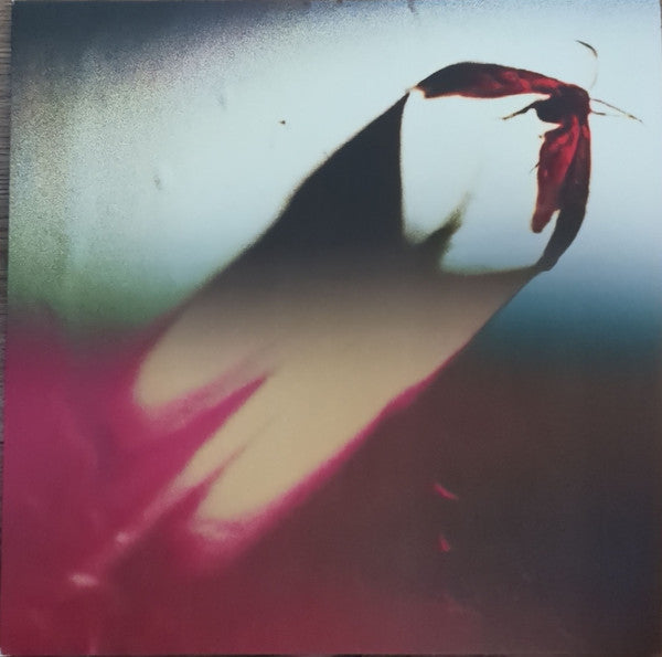 Are We All Angels (COLOR VINYL) | Mint (M) Mint (M)-Music History