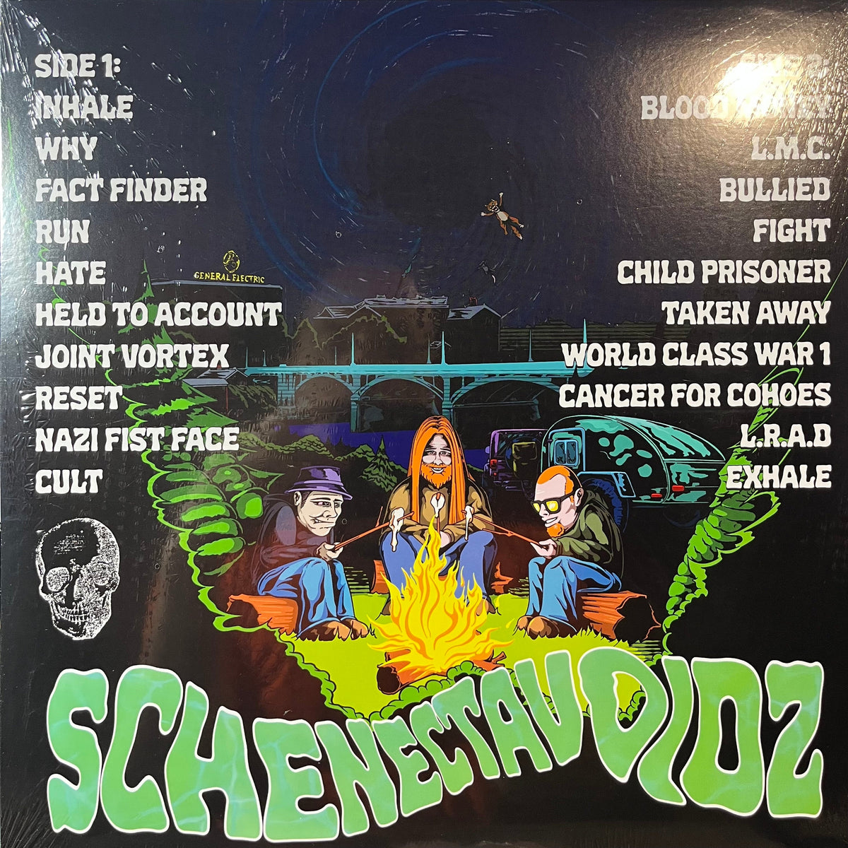 Schenectavoidz - Void Beyond The Pines (RANDOM COLOR VINYL) | Mint (M) Mint (M)-Music History