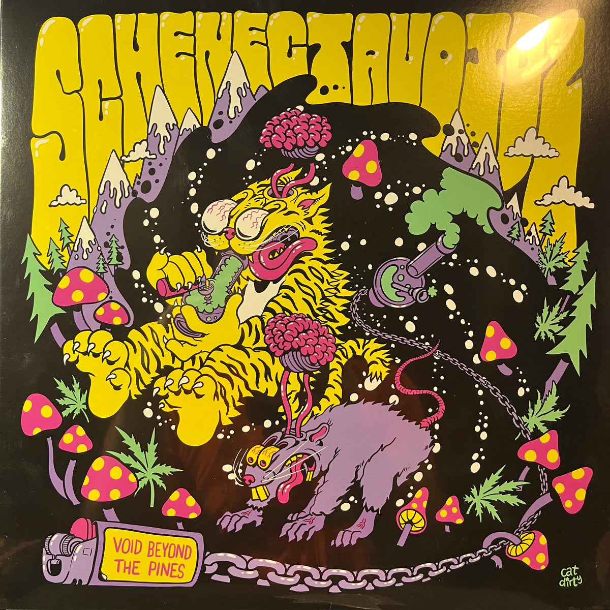 Schenectavoidz - Void Beyond The Pines (RANDOM COLOR VINYL) | Mint (M) Mint (M)-Music History
