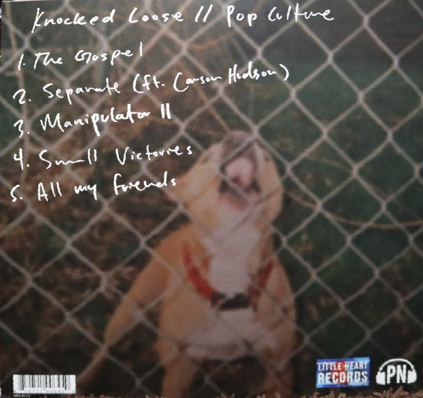Knocked Loose - Pop Culture (VINYL) | Mint (M) Mint (M)-Music History