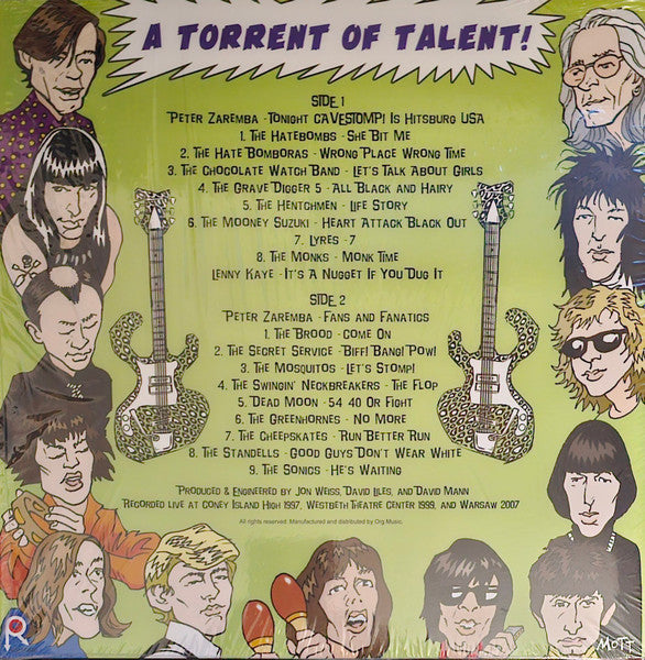 Various - Cavestomp! The Garage Rock Festacular! Presents A Torrent Of Talent! Volume One! | Mint (M) Mint (M)-Music History