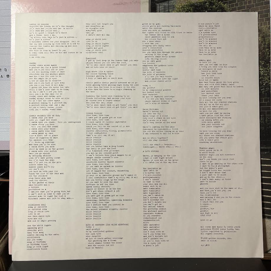 Sonic Youth - A Thousand Leaves (2xVINYL) | Near Mint (NM) Excellent (EX)-Music History