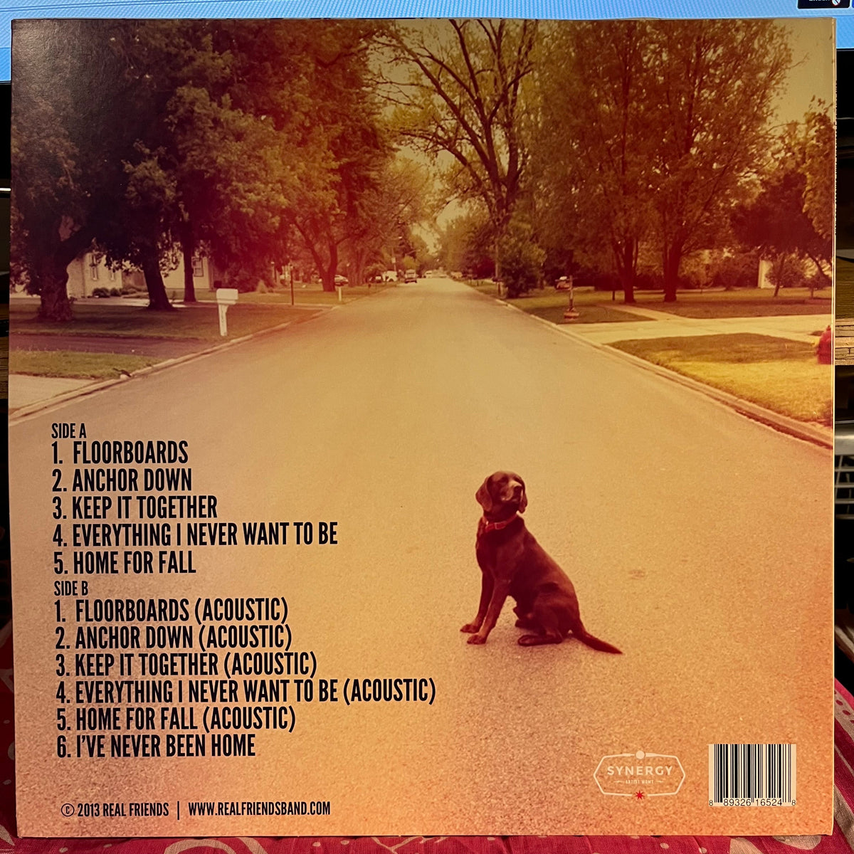 Real Friends - Everyone That Dragged You Here *WHITE* | Near Mint (NM) Near Mint (NM)-Music History