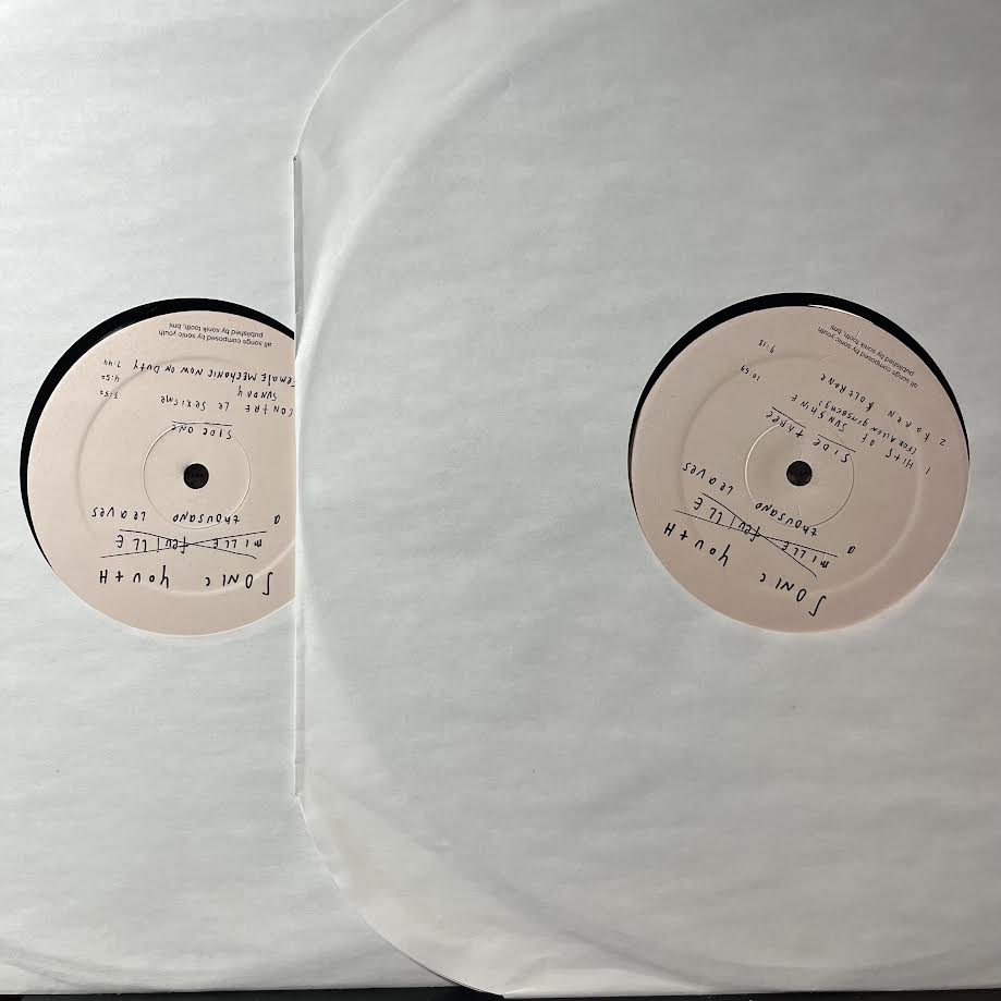 Sonic Youth - A Thousand Leaves (2xVINYL) | Near Mint (NM) Excellent (EX)-Music History