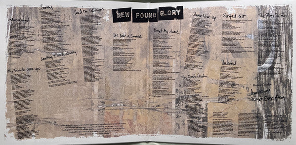 New Found Glory - Sticks And Stones (WHIRLPOOL VINYL) | Near Mint (NM) Near Mint (NM)-Music History