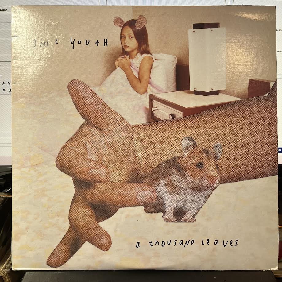 Sonic Youth - A Thousand Leaves (2xVINYL) | Near Mint (NM) Excellent (EX)-Music History