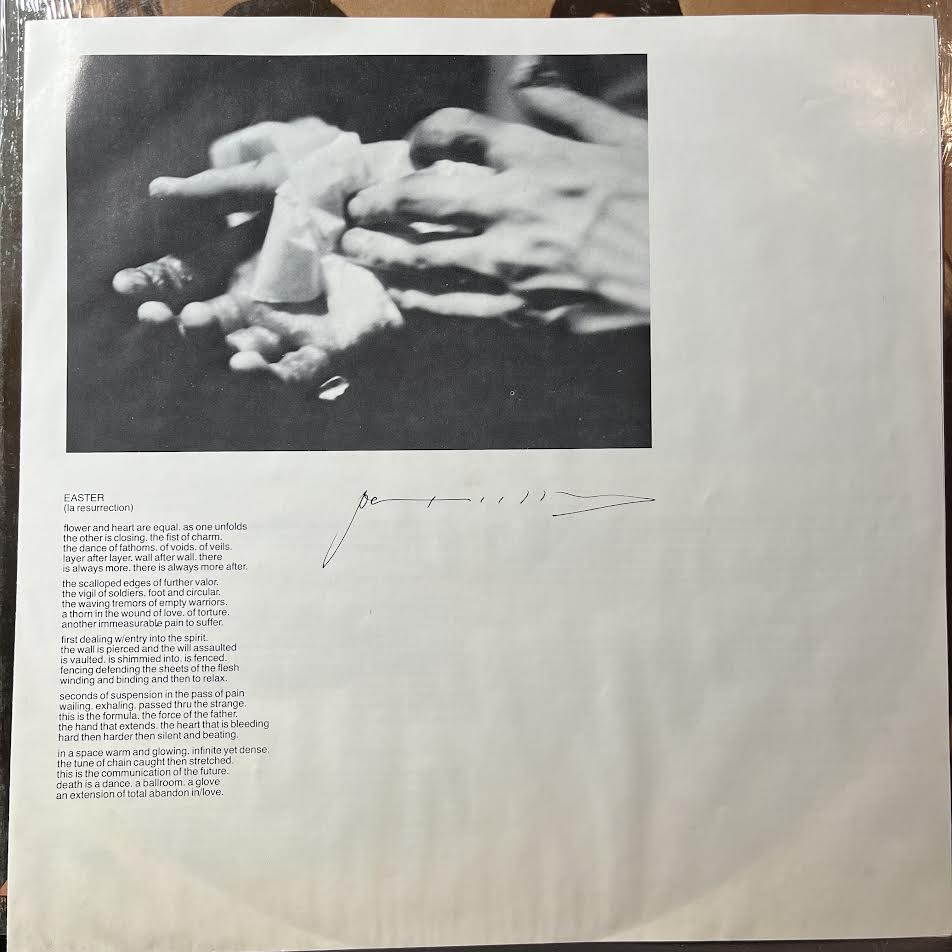 Patti Smith Group - Easter (VINYL) | Near Mint (NM) Near Mint (NM)-Music History