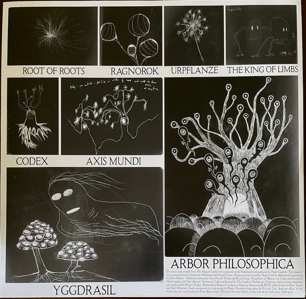Radiohead  The King Of Limbs (VINYL) | Mint (M) Mint (M)-Music History