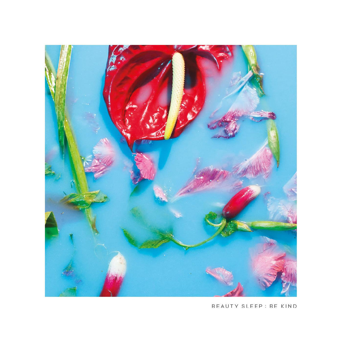 Beauty Sleep - Be Kind |-Music History