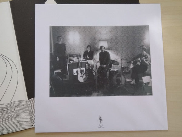 The Benjamin Delaney Lion - Satori (VINYL) | Mint (M) Mint (M)-Music History