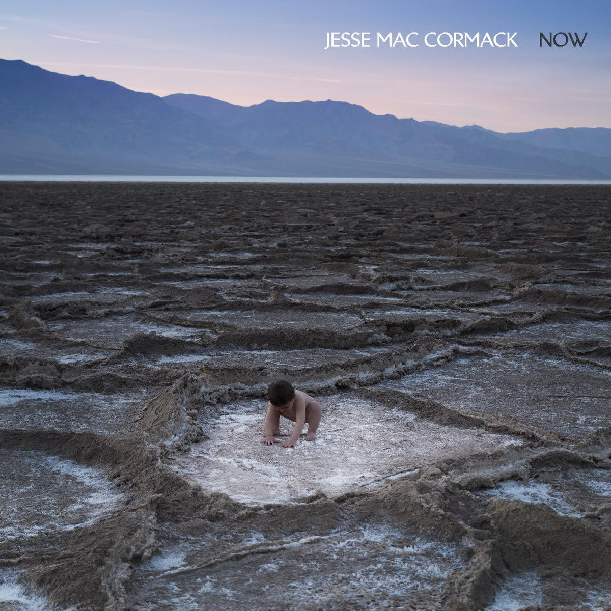 Mac Cormack, Jesse - Now (CD) |-Music History