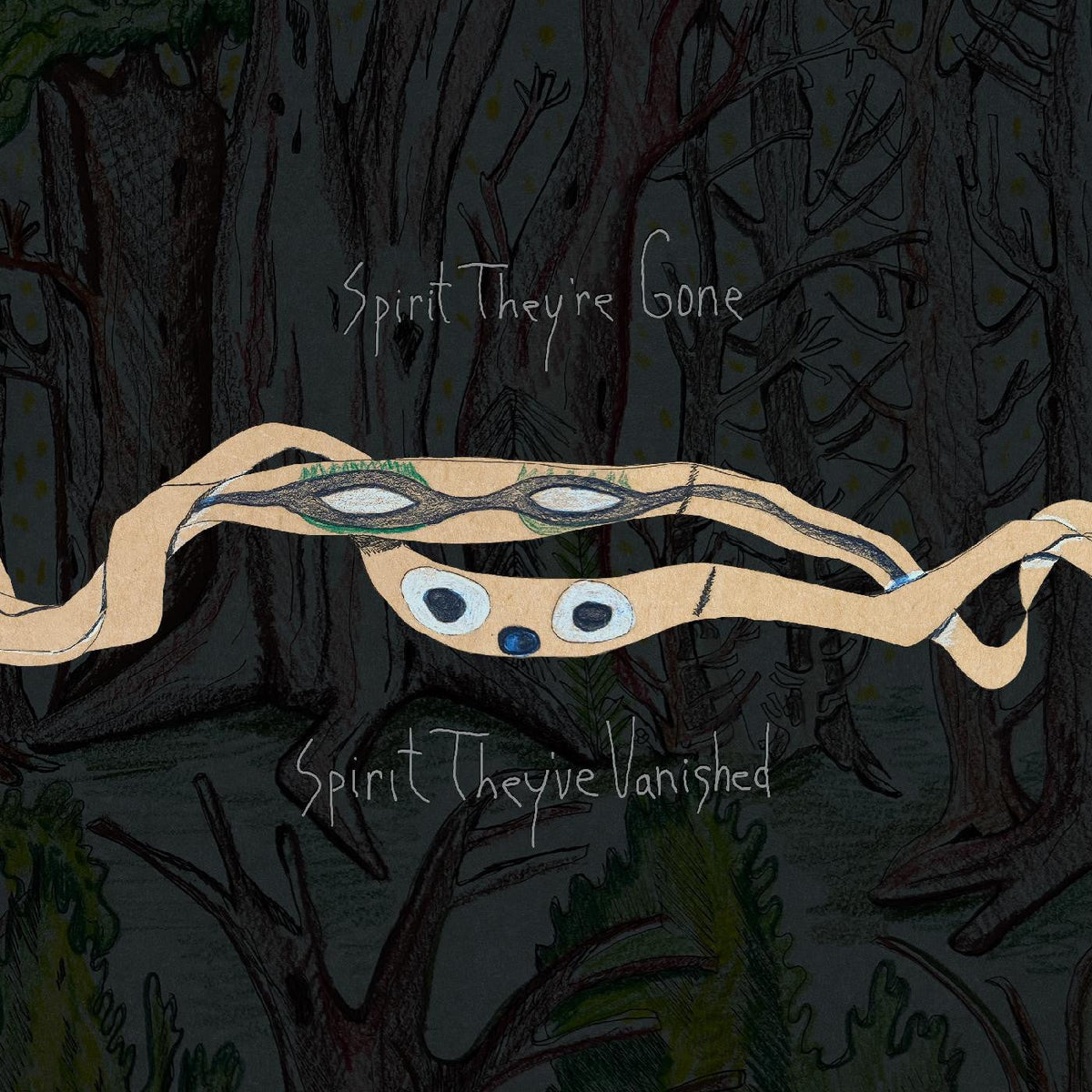 Animal Collective - Spirit They're Gone, Spirit They've Vanished (Remastered 2023) | Mint (M) Mint (M)-Music History