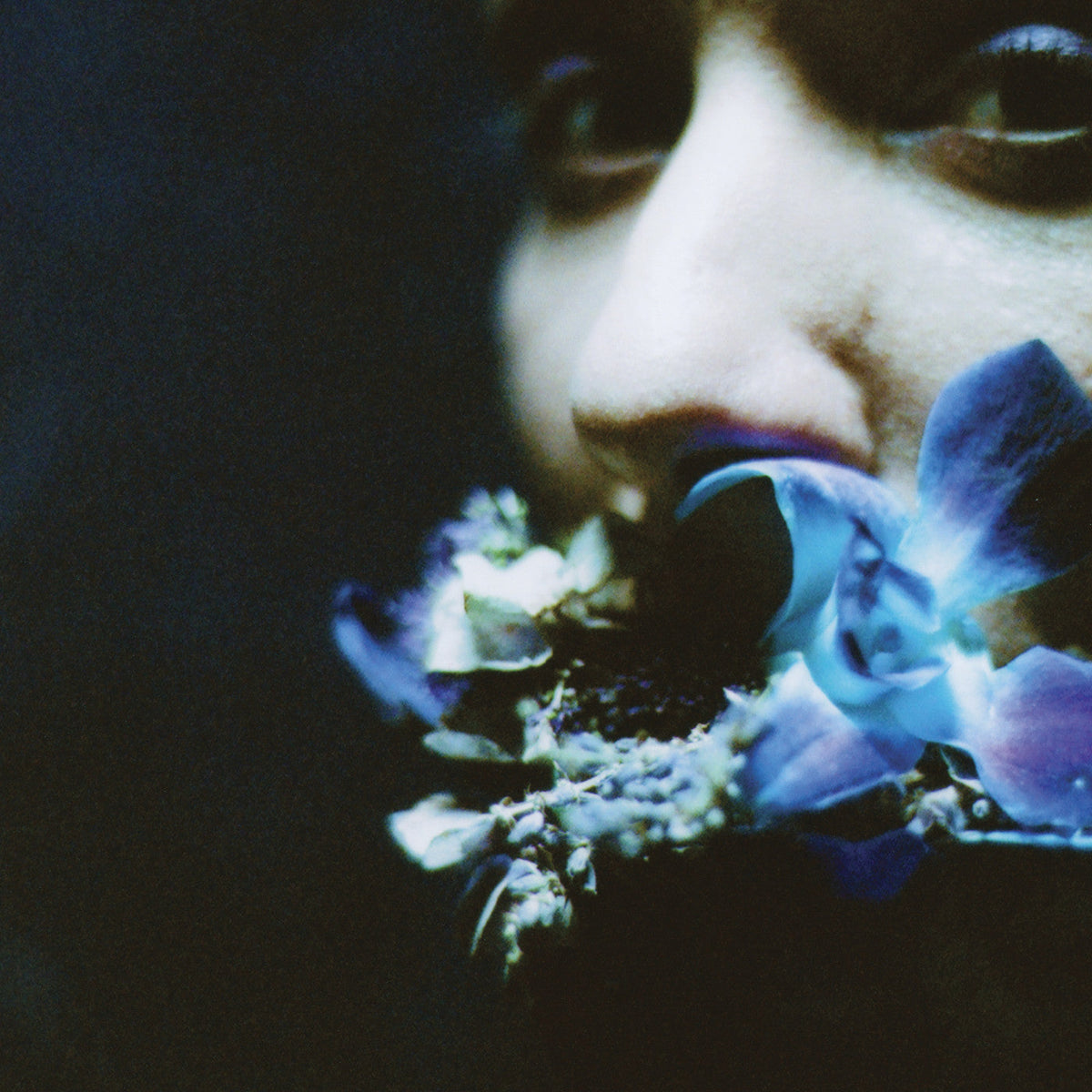 Circuit des Yeux - Reaching For Indigo |-Music History