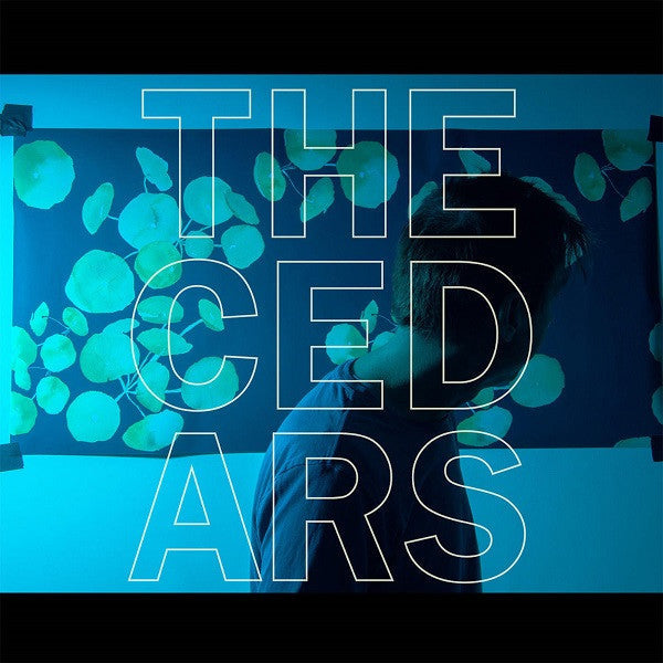 Vanderslice, John - The Cedars |-Music History