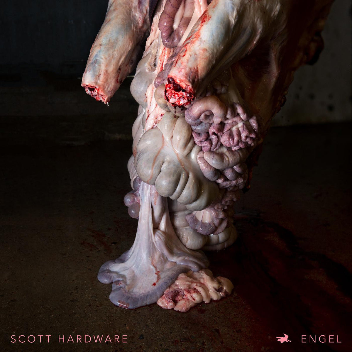 Hardware, Scott - Engel |-Music History