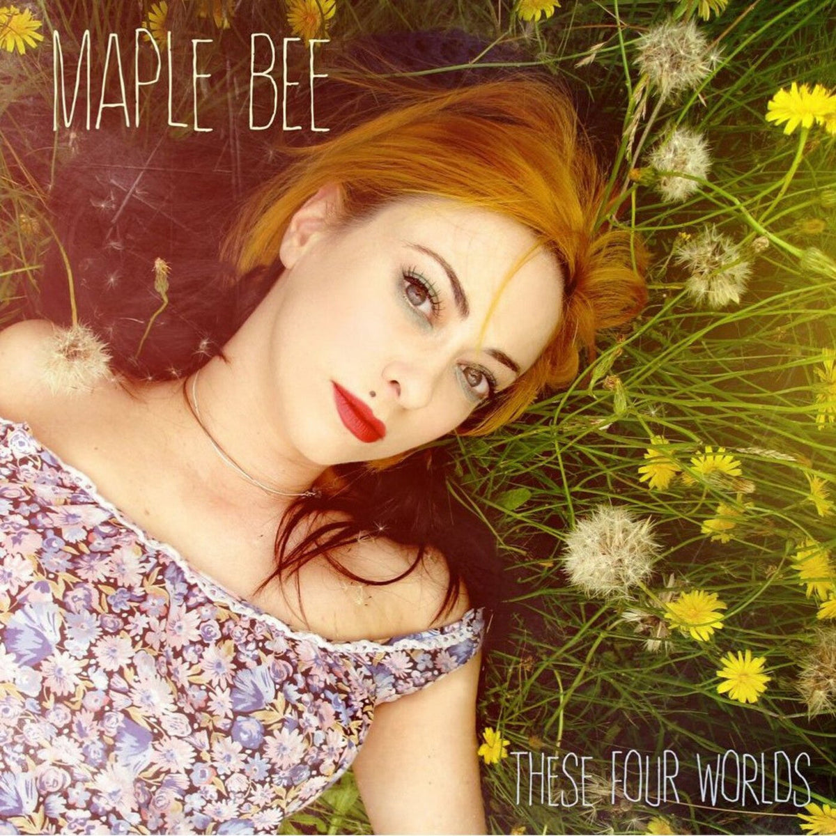 Maple Bee - These Four Worlds (CD) |-Music History