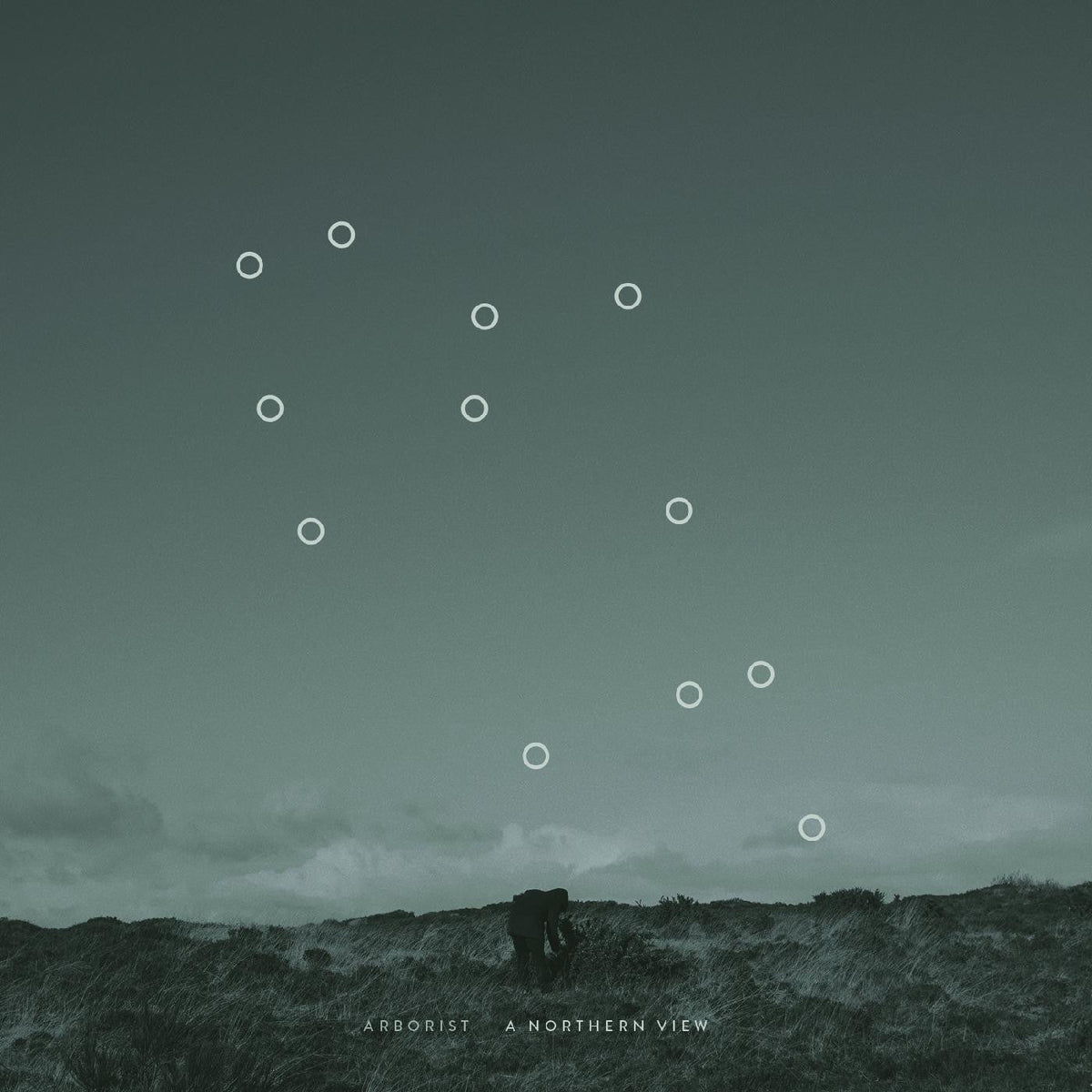 Arborist - A Northern View |-Music History