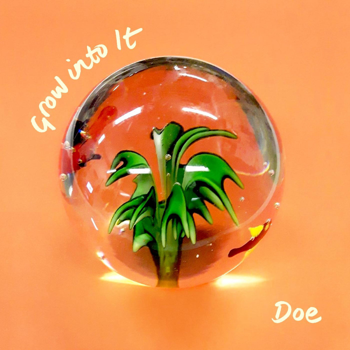 Doe - Grow Into It (CD) |-Music History