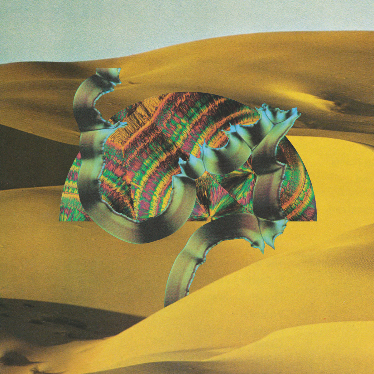 Django Django - Django Django (CD) |-Music History