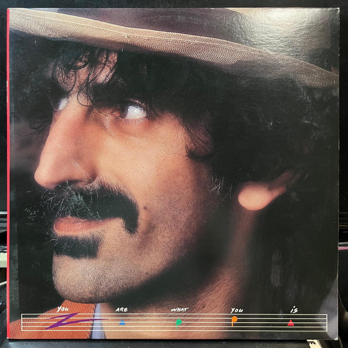 Frank Zappa - You Are What You Is (VINYL 2xLP BARKING PUMPKIN PW2 37537 1981) | Near Mint (NM or M-) Near Mint (NM)-Music History