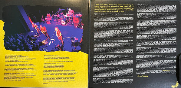 The Feelies - Some Kinda Love Performing The Music Of The Velvet Underground | Mint (M) Mint (M)-Music History