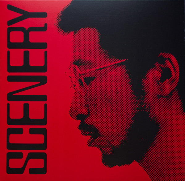 Ryo Fukui - Scenery (VINYL) | Mint (M) Mint (M)-Music History