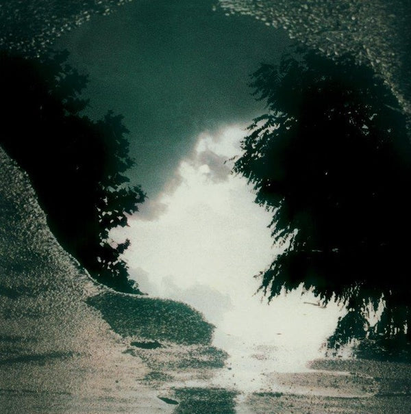 SAD LOVERS AND GIANTS - Feeding The Flame | Mint (M) Mint (M)-Music History