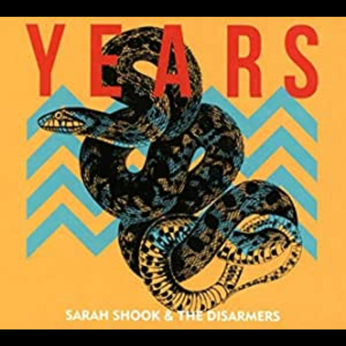 Sarah Shook & The Disarmers - Years (180G VINYL) | Mint (M) Mint (M)-Music History