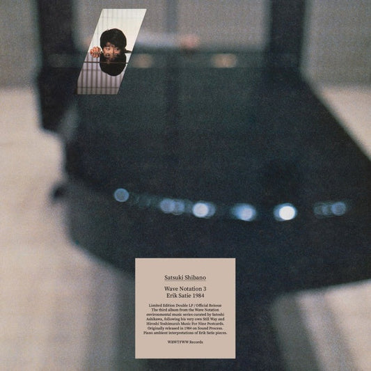 SATSUKI SHIBANO - Wave Notation 3: Erik Satie 1984 |-Music History